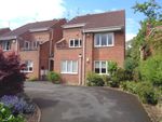 Thumbnail to rent in Newland Park, Hull
