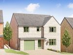 Thumbnail to rent in "The Tiverton" at Fitzhugh Rise, Wellingborough