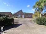 Thumbnail for sale in Reckford Road, Westleton, Saxmundham, Suffolk