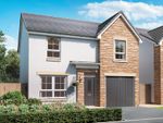 Thumbnail to rent in "Duart" at Barons Drive, Roslin