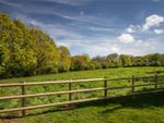 Thumbnail for sale in Doctors Hill, Sherfield English, Romsey, Hampshire
