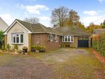 Thumbnail to rent in Hussell Lane, Medstead, Alton, Hampshire
