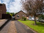 Thumbnail for sale in Fern Close, Thurnby, Leicestershire