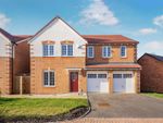 Thumbnail for sale in Meteor Way, Southam