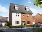 Thumbnail to rent in "The Newton" at Gulpher Road, Felixstowe