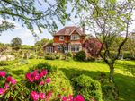 Thumbnail for sale in Grayswood Road, Grayswood, Haslemere, Surrey