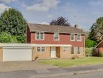 Thumbnail for sale in Rosendene Close, Kirby Muxloe, Leicester