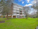 Thumbnail to rent in The Bowls, Chigwell, Essex