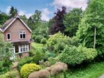Thumbnail to rent in Culmer Hill, Petworth Road, Godalming