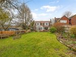 Thumbnail to rent in Windmill Hill, Alton, Hampshire