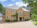 Thumbnail to rent in Hancocks Mount, Ascot