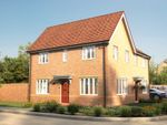 Thumbnail for sale in "The Lyttelton" at Turtle Dove Close, Hinckley