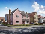 Thumbnail to rent in "The St Clement" at Kelvedon Road, Tiptree, Colchester