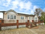 Thumbnail to rent in Private Road, Chelmsford, Essex