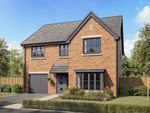 Thumbnail to rent in "The Hollicombe" at Urlay Nook Road, Eaglescliffe, Stockton-On-Tees