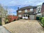 Thumbnail to rent in Green Lane, Bexhill-On-Sea