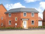 Thumbnail to rent in "Lutterworth" at Cardamine Parade, Stafford