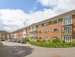 Thumbnail to rent in Regnum Court, North Walls, Chichester