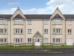 Thumbnail to rent in Mccormack Place, Larbert