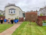 Thumbnail to rent in Greenlawns, Little Clacton, Clacton-On-Sea