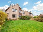 Thumbnail to rent in Drumcarrow Road, St Andrews