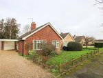 Thumbnail to rent in Lark Hill, Moulton, Newmarket