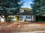 Thumbnail for sale in Shelley Close, Banstead
