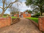 Thumbnail for sale in Holly Farm Road, Reedham, Norwich