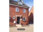 Thumbnail to rent in Shreeve Road, Blofield, Norwich