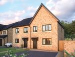 Thumbnail to rent in "The Hazel" at Cotterstock Road, Oundle, Peterborough