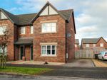 Thumbnail for sale in Birchwood Way, Dumfries