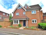 Thumbnail to rent in Forster Road, Guildford, Surrey
