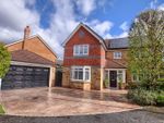 Thumbnail for sale in Caldey Gardens, Ingleby Barwick, Stockton-On-Tees