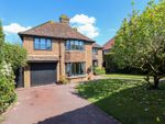 Thumbnail for sale in Collington Rise, Bexhill-On-Sea