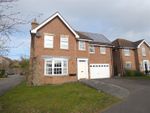 Thumbnail to rent in Sandholme Park, Gilberdyke, Brough