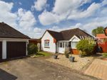 Thumbnail for sale in Ryders Way, Rickinghall, Diss