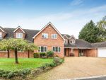 Thumbnail to rent in Popeswood Road, Binfield