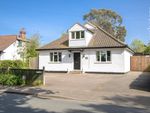 Thumbnail to rent in Tunstead Road, Hoveton, Norwich