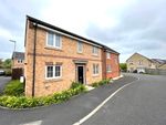 Thumbnail to rent in Oak Leaf Drive, Bamber Bridge, Preston