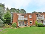 Thumbnail to rent in Golf Links Road, Ferndown