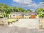 Thumbnail for sale in Ashcroft Close, Harpenden