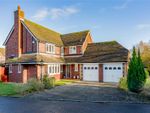 Thumbnail to rent in Rosemoor Gardens, Appleton, Warrington, Cheshire