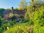 Thumbnail for sale in Haslemere Road, Brook, Godalming