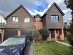 Thumbnail to rent in Worrin Road, Shenfield, Brentwood