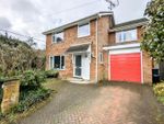 Thumbnail for sale in Forest Road, Whitehill, Hampshire