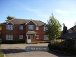 Thumbnail to rent in Aragorn Court, Guildford
