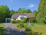 Thumbnail to rent in Crossways, West Chiltington, West Sussex