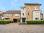 Thumbnail to rent in Kingfisher Drive, Maidenhead