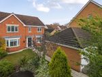Thumbnail to rent in Abbots Court, Selby