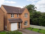 Thumbnail for sale in Pipistrelle Way, Oadby